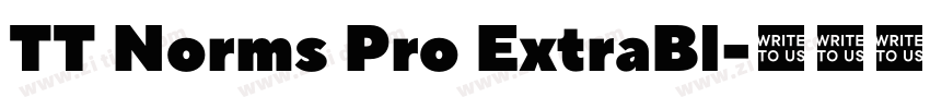 TT Norms Pro ExtraBl字体转换 TT Norms Pro ExtraBl字体转换